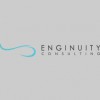 Enginuity Consulting