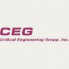 Critcial Engineering Group